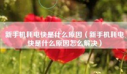 新手机耗电快是什么原因（新手机耗电快是什么原因怎么解决）