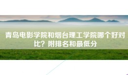 青岛电影学院和烟台理工学院哪个好对比？附排名和最低分