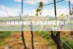 抖音极速版官方正版最新版本简介