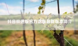 抖音极速版官方正版最新版本简介