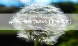 oppor9s手机壳（oppor9s手机壳大全）