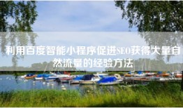 利用百度智能小程序促进SEO获得大量自然流量的经验方法