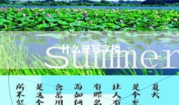 什么是写字楼