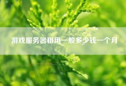 游戏服务器租用一般多少钱一个月