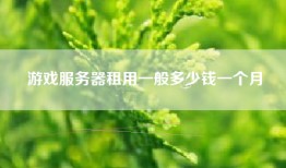 游戏服务器租用一般多少钱一个月
