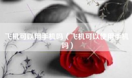 飞机可以用手机吗（飞机可以使用手机吗）