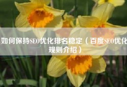 如何保持SEO优化排名稳定（百度SEO优化规则介绍）