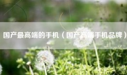 国产最高端的手机（国产高端手机品牌）