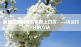 原创关键词排名快速上首页，seo快速排名的方法