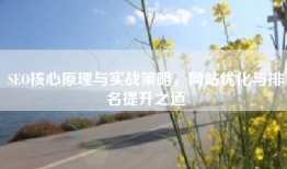 SEO核心原理与实战策略，网站优化与排名提升之道