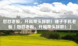 怒怼老板，开局带头辞职！锤子手机老板「怒怼老板，开局带头辞职！」