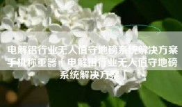 电解铝行业无人值守地磅系统解决方案手机称重器「电解铝行业无人值守地磅系统解决方案」