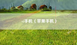 vi手机（苹果手机）