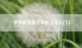 字手机五笔（手机五笔入门）