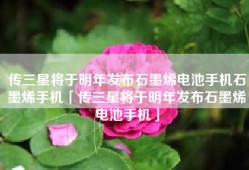 传三星将于明年发布石墨烯电池手机石墨烯手机「传三星将于明年发布石墨烯电池手机」