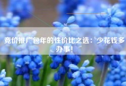 竞价推广包年的性价比之选：少花钱多办事！