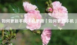 如何更新手机手机更新「如何更新手机」