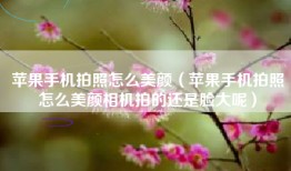 苹果手机拍照怎么美颜（苹果手机拍照怎么美颜相机拍的还是脸大呢）