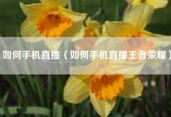 如何手机直播（如何手机直播王者荣耀）