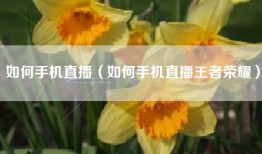 如何手机直播（如何手机直播王者荣耀）