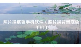 照片换底色手机软件（照片换背景底色手机）
