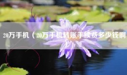 20万手机（20万手机转账手续费多少钱啊）
