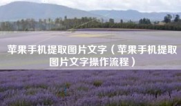 苹果手机提取图片文字（苹果手机提取图片文字操作流程）