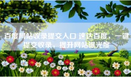 百度网站收录提交入口 速达百度，一键提交收录，提升网站曝光度