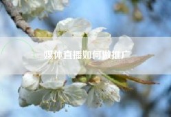 媒体直播如何做推广