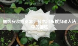 捆绑安装浏览器：技术剖析搜狗输入法中的猫腻