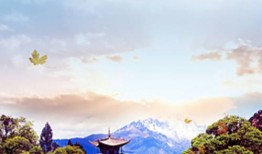 汽车内饰清洗