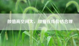 颜值高空间大，颜值在线价格合理