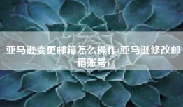 亚马逊变更邮箱怎么操作(亚马逊修改邮箱账号)