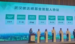 两山投资发起设立百亿武汉碳达峰基金手机凤凰「两山投资发起设立百亿武汉碳达峰基金」