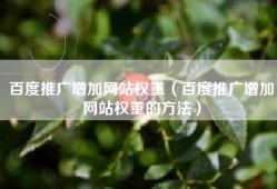 百度推广增加网站权重（百度推广增加网站权重的方法）