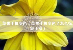 苹果手机变色（苹果手机变色了怎么恢复正常）