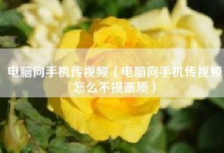 电脑向手机传视频（电脑向手机传视频怎么不损画质）