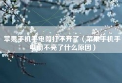 苹果手机手电筒打不开了（苹果手机手电筒不亮了什么原因）
