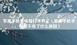 苹果手机手电筒打不开了（苹果手机手电筒不亮了什么原因）