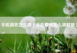 手机颜色怎么调（手机颜色怎么调鲜艳）