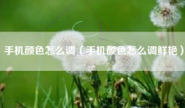 手机颜色怎么调（手机颜色怎么调鲜艳）