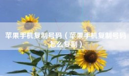 苹果手机复制号码（苹果手机复制号码怎么复制）