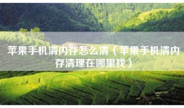 苹果手机清内存怎么清（苹果手机清内存清理在哪里找）