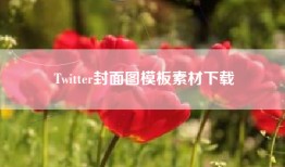 Twitter封面图模板素材下载