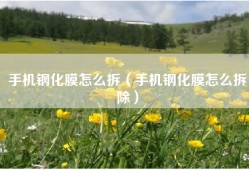 手机钢化膜怎么拆（手机钢化膜怎么拆除）