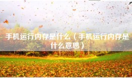 手机运行内存是什么（手机运行内存是什么意思）