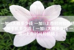 一加11大概多少钱 一加11上市时间和价格一加手机多少钱「一加11大概多少钱 一加11上市时间和价格」