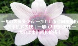 一加11大概多少钱 一加11上市时间和价格一加手机多少钱「一加11大概多少钱 一加11上市时间和价格」