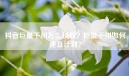 抖音巨量千川怎么投放？巨量千川如何建立计划？