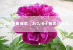 录制手机脚本（怎么用手机录制脚本）